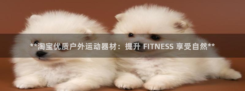 意昂体育3招商：**淘宝优质户外运动器材：提升 FITNES