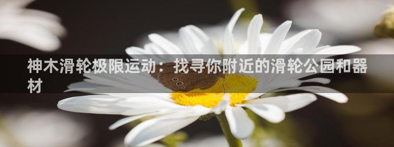 意昂体育3招商电话地址查询：神木滑轮极限运动：找寻你